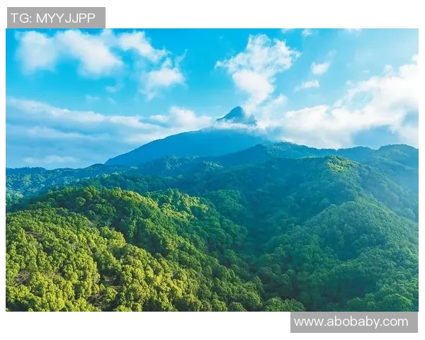 福建浔兴股份推出绿色环保产品，积极响应国家政策