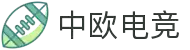 中欧电竞-探索电竞的丝绸之路
