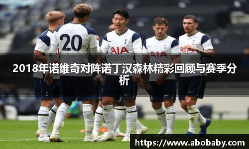 2018年诺维奇对阵诺丁汉森林精彩回顾与赛季分析