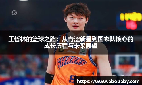 中欧电竞首页